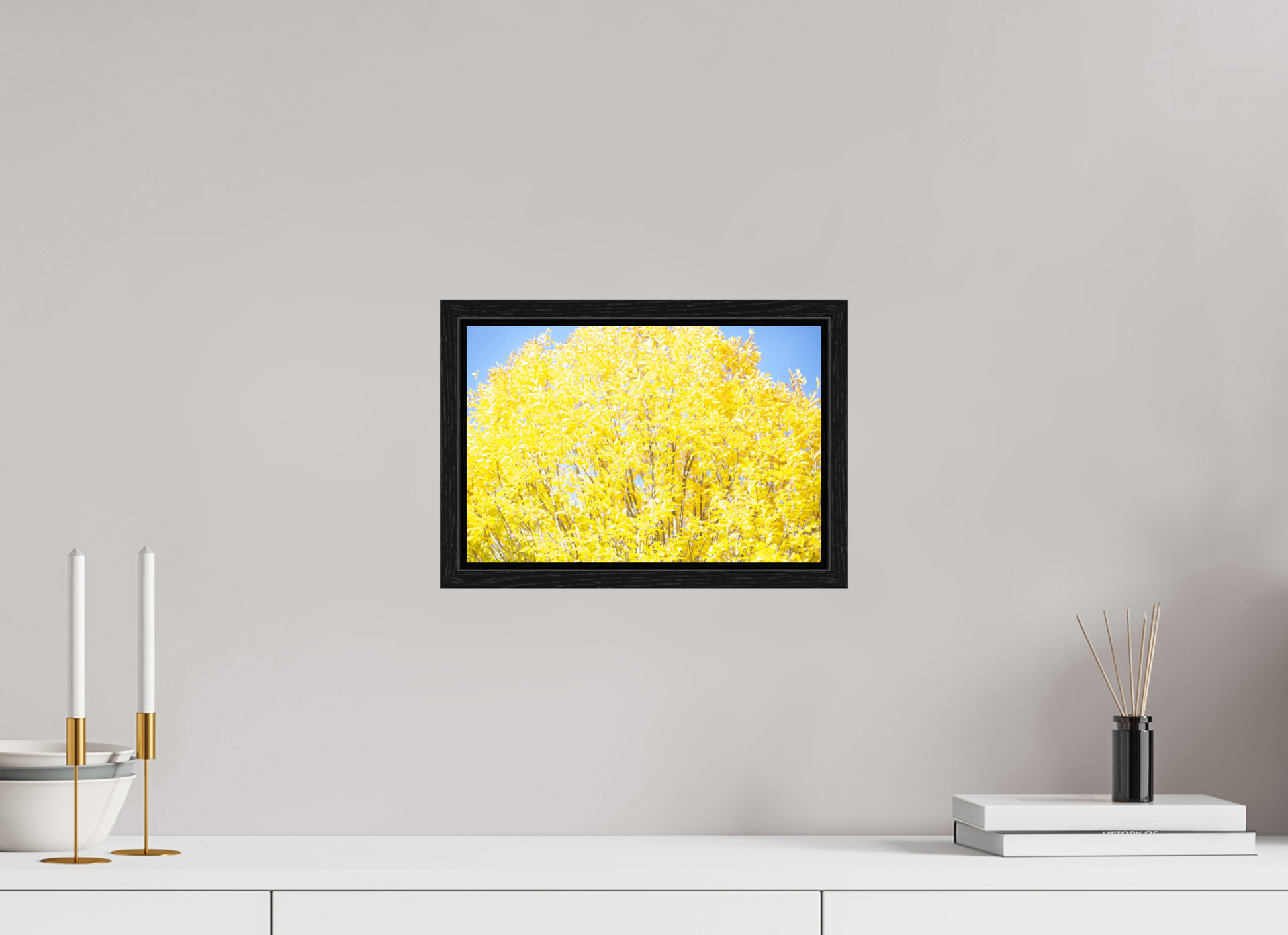 12 x 8″, Floater Frame Spring Yellow Tree