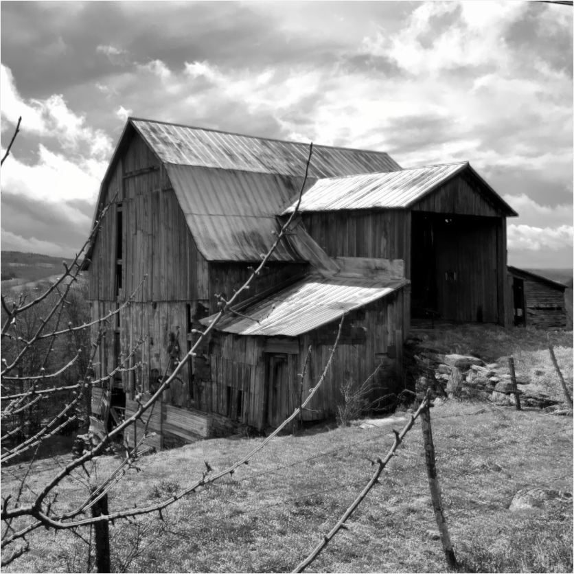 Main image Black and white barn on top of Hess Road