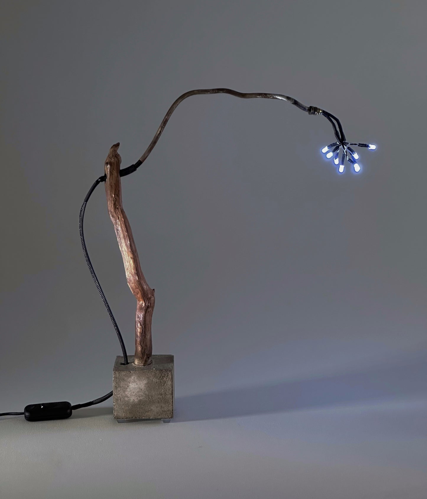 Tree of Light
