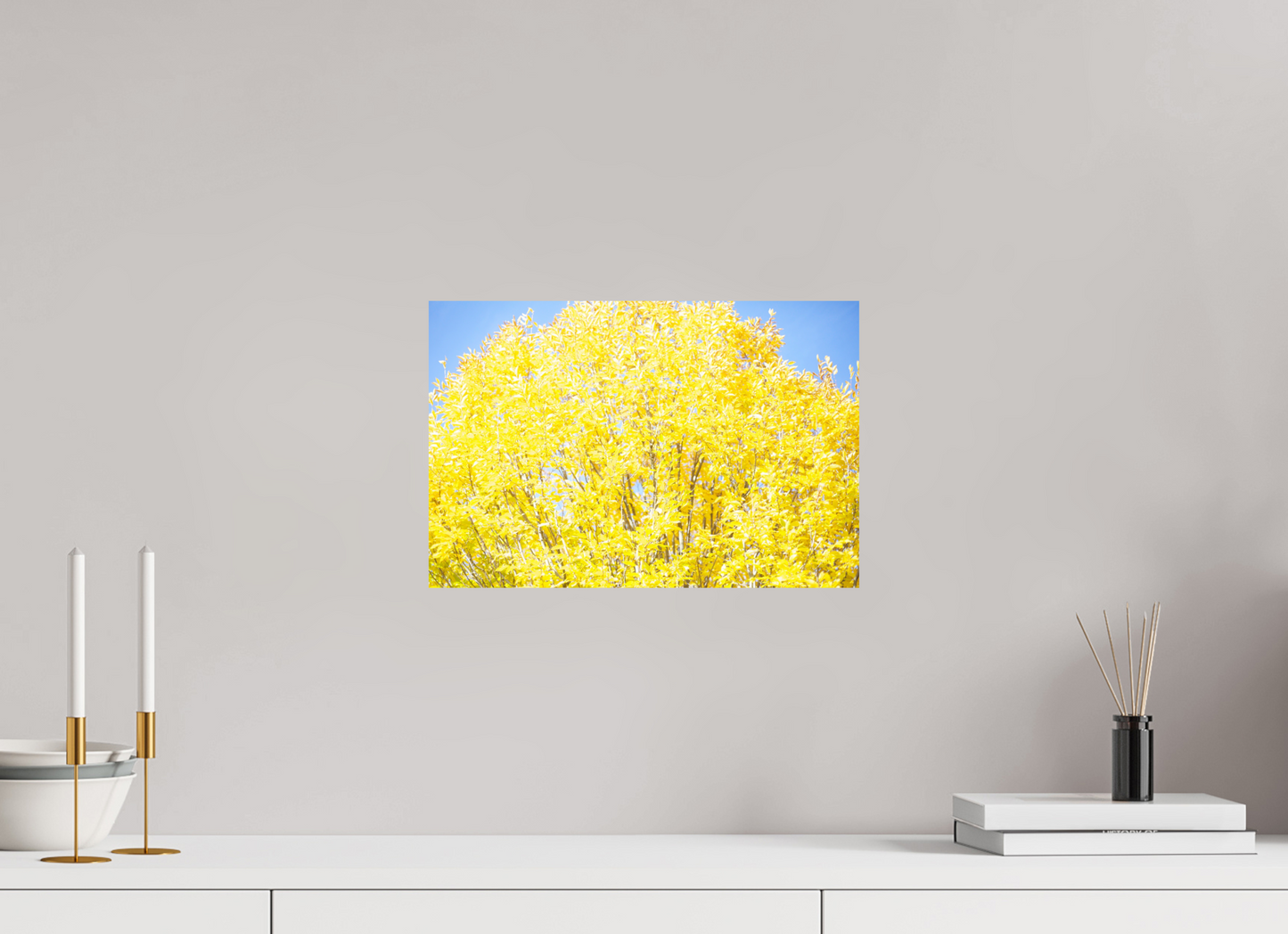 15 x 10″, Photo Print On Fuji Crystal DP II Spring Yellow Tree
