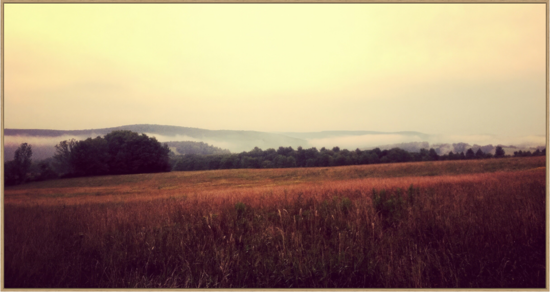 Main image Morning Meadow
