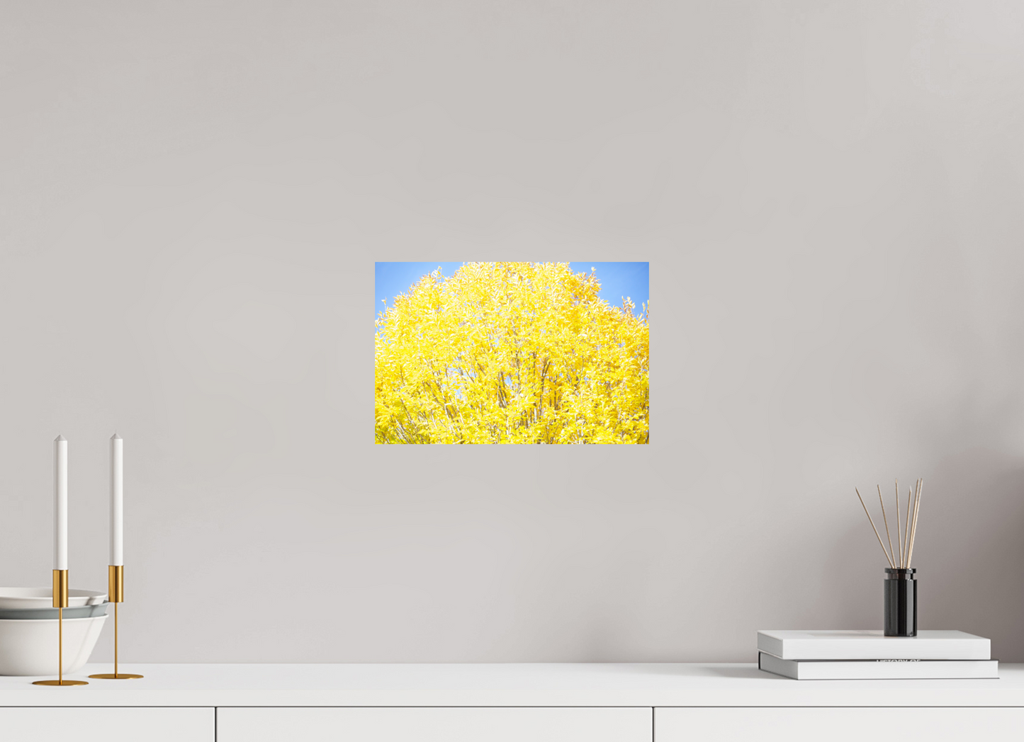 12 x 8″, Photo Print On Fuji Crystal DP II Spring Yellow Tree